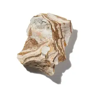 Long Diên Hương (Ambergris)