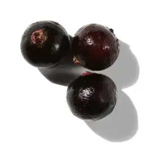 Quả lý chua đen (Black Currant)