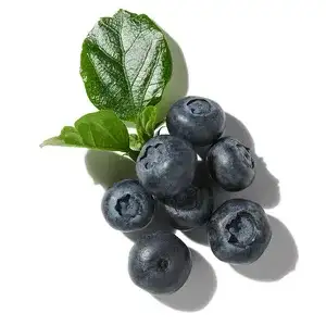 Quả Việt Quất (Blueberry)