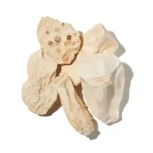 Rễ Diên Vĩ (Orris Root)
