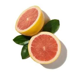 Bưởi Đỏ (Blood Grapefruit)