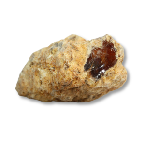 ambergris-long-dien-huong