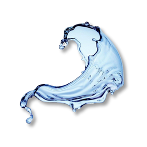 aquatic-watery-huong-thuy-sinh