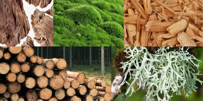 aromatic-fougere-woody