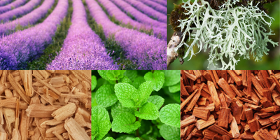 aromatic-tonic-woody