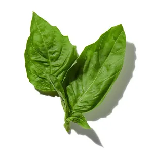 Húng Quế (Basil)