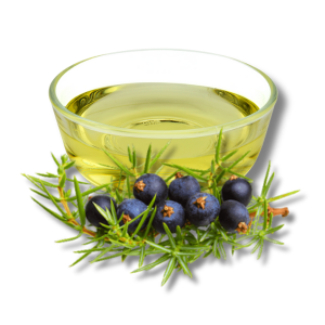 cade-oil-huong-dau-cade