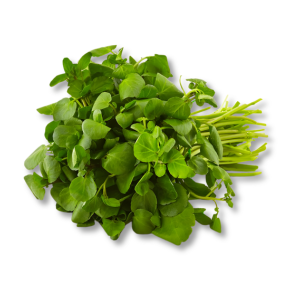 Cải Xoong (Nasturtium)