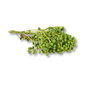 Cây Màng Tang (Litsea Cubeba)