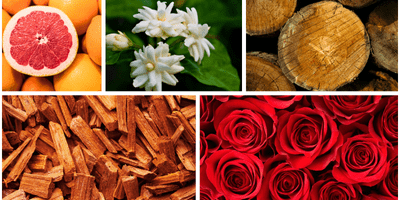 citrus-floral-woody