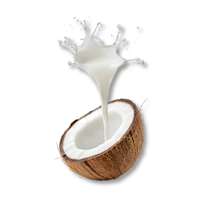 coconut-milk-sua-dua