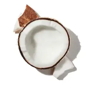 Dừa (Coconut)