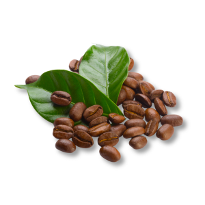 coffee-absolute-tinh-chat-ca-phe