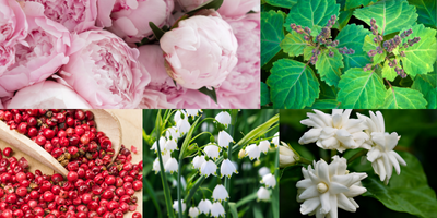 fearless-floral