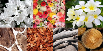 floral-woody