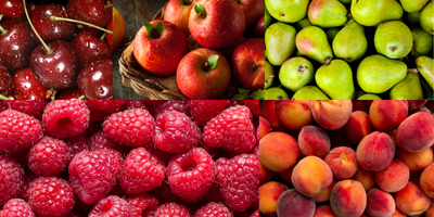 fruity