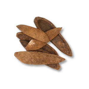 Gỗ Gụ (Mahogany)