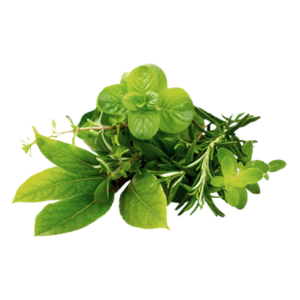 herbal-huong-thao-moc