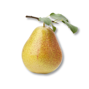 pear-le