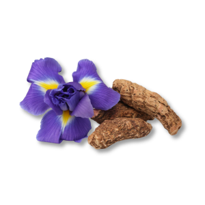 Rễ cây diên vĩ (Iris Root)