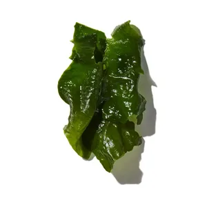 Rong biển (Seaweed)