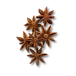 star-anise-dai-hoi