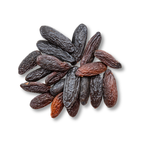 tonka-bean-dau-tonka