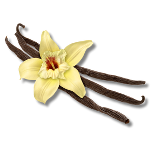 vanilla