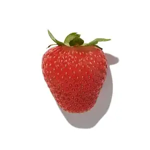 Dâu Dại (Wild Strawberry)