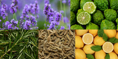 aromatic
