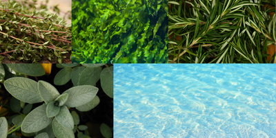 aromatic-aquatic