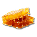 beeswax