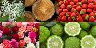 chypre-fruity