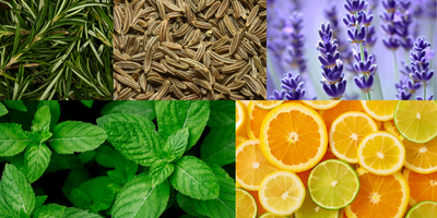 citrus-aromatic