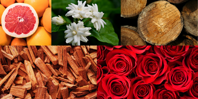 citrus-floral-woody