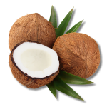 coconut