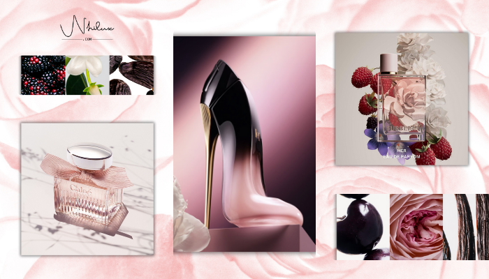 collection-nu