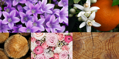 floral-fruity-woody