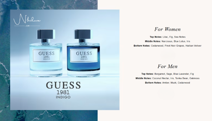 guess-collection