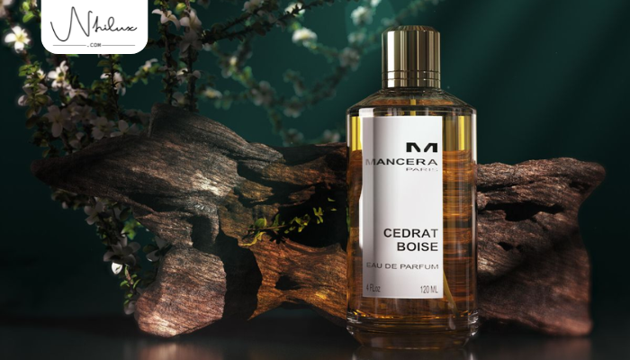 mancera-cedrat-boise-edp