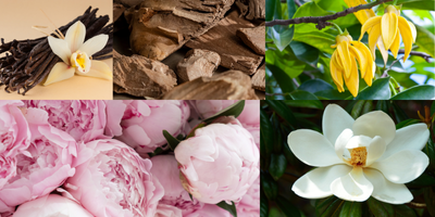 oriental-floral