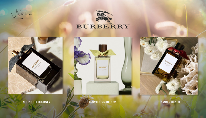top-burberry-niche