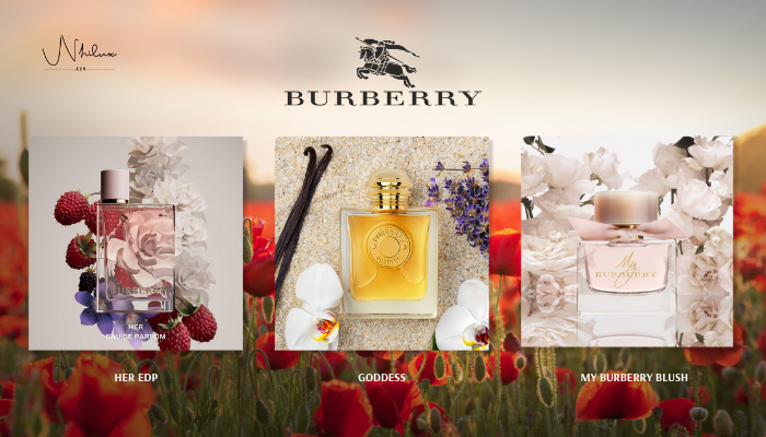top-burberry-nu
