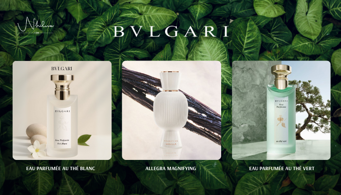 top-bvlgrari-unisex
