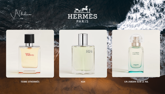 top-hermes-nam