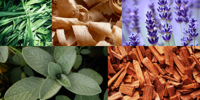 woody-aromatic