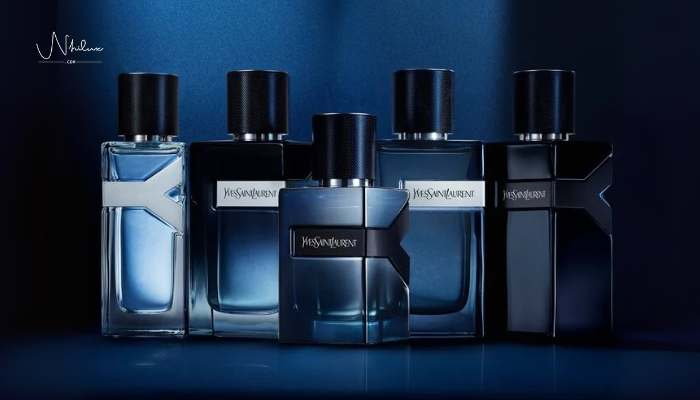 y-edp-yves-saint-laurent