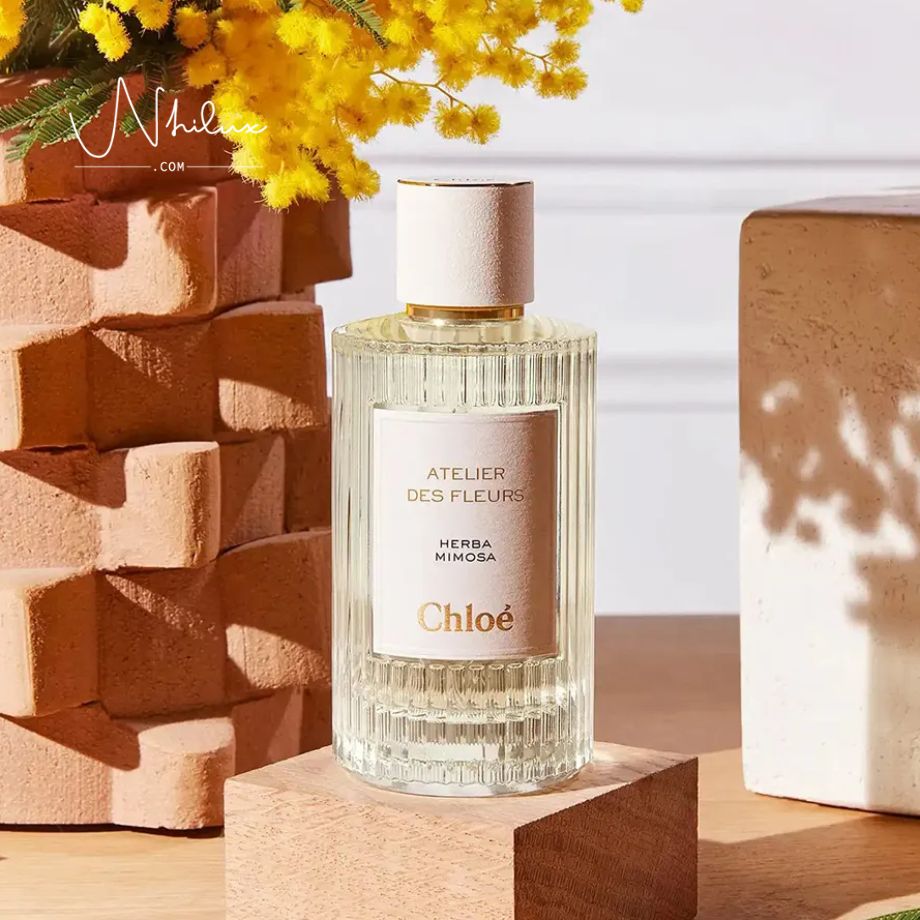 atelier-des-fleurs-herba-mimosa-edp