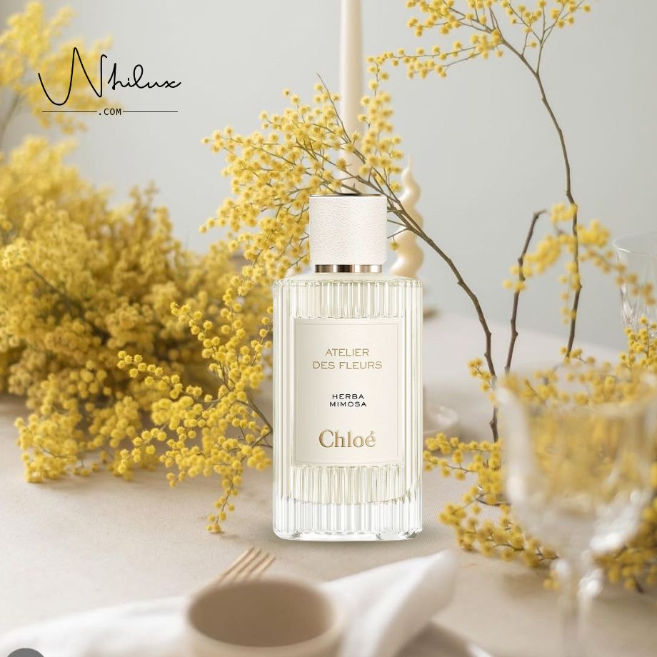 atelier-des-fleurs-herba-mimosa-edp