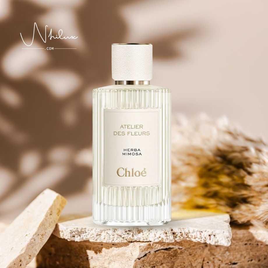 atelier-des-fleurs-herba-mimosa-edp